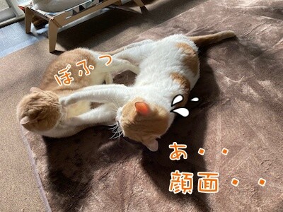 みんな1116