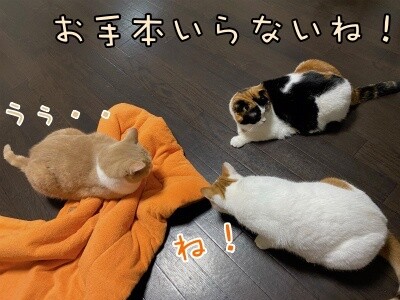 みんな2193