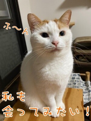 りよ314