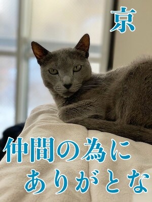 京592