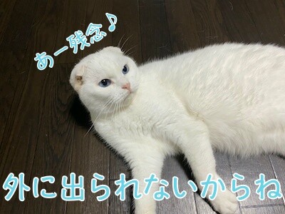 殿188