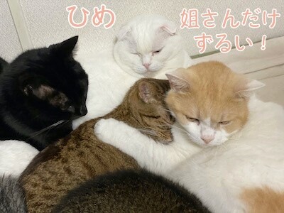 みんな58