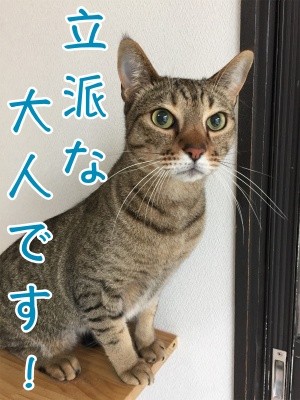 漣21