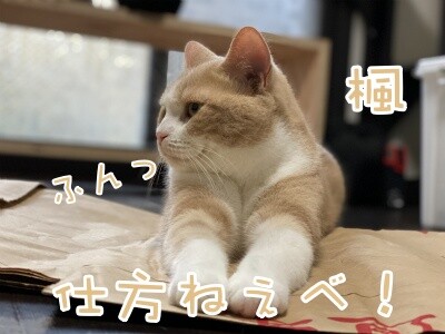 楓656