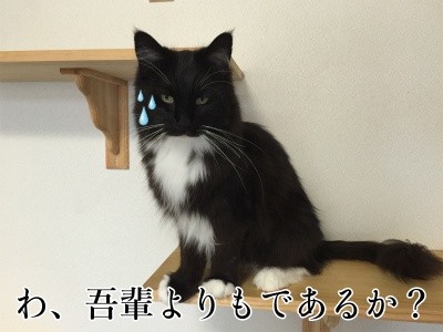 勇12