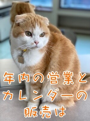 珠若773