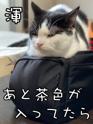 渾235