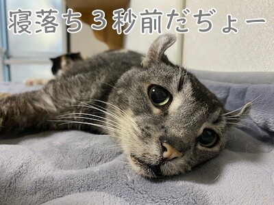 銀88