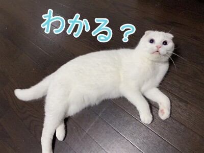 殿687