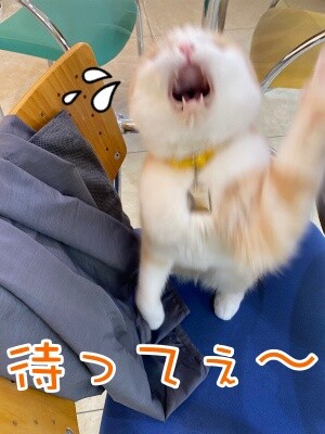 珠若806