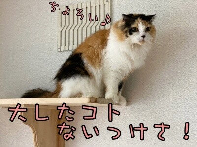 さよ120