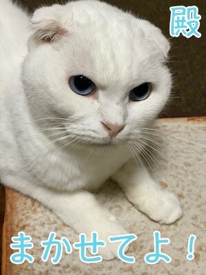 殿1330