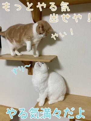 みんな2496