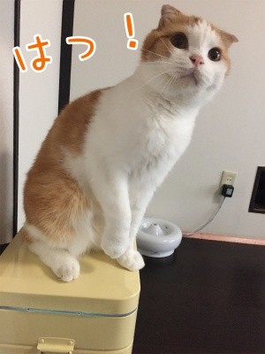 辰164