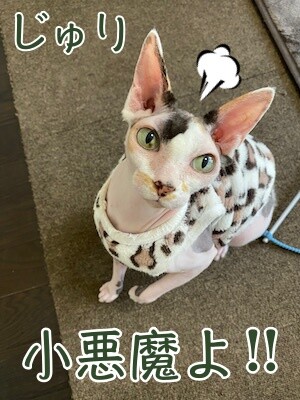 じゅり79