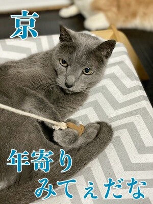 京37