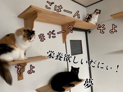 みんな1813