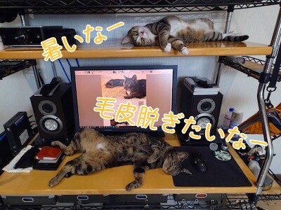 魚卵456