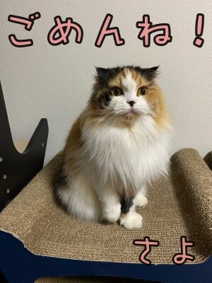 さよ94