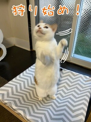 りよ93