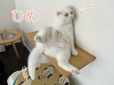 ひめ371
