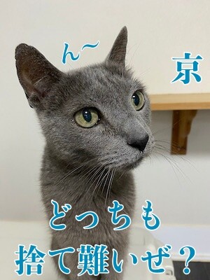 京619