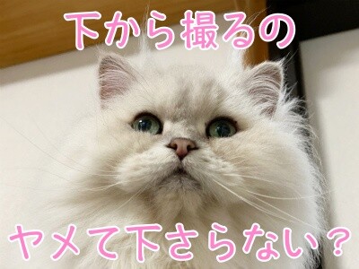 らん233
