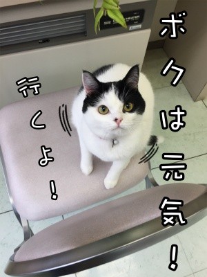 珠若245