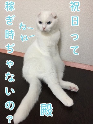 殿166