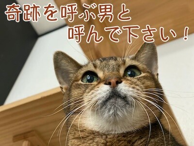 俊18