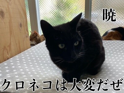 暁134