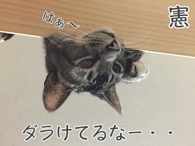 憲238