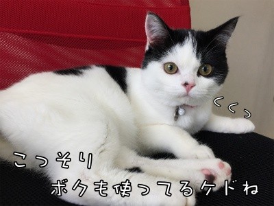 珠若89