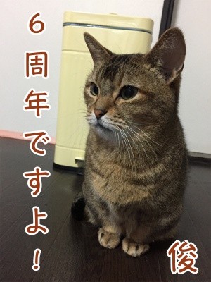 俊130