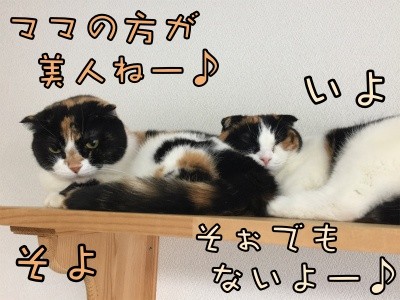 みんな1127