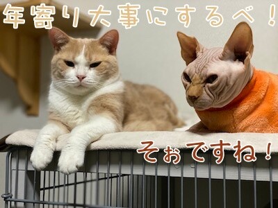 みんな604