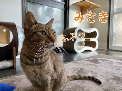 みさき403