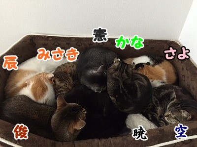 みんな (179)