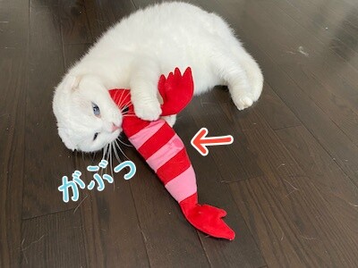 殿116