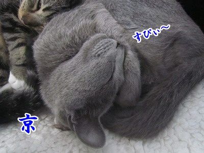 京 (5)