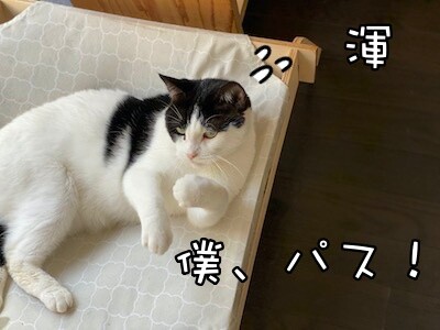 渾326