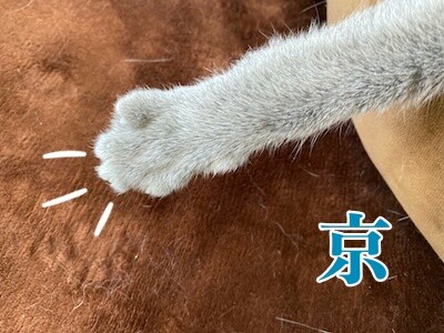京55