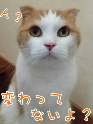 まお93