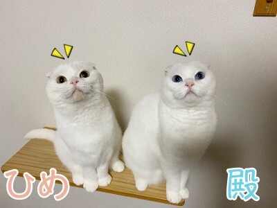 みんな2331