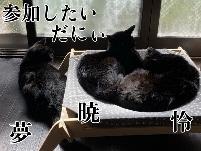 みんな1685