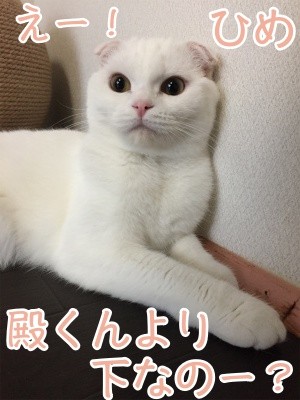 ひめ37