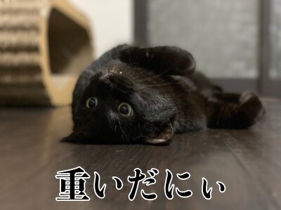 夢129