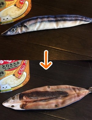 心52