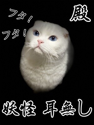 殿574