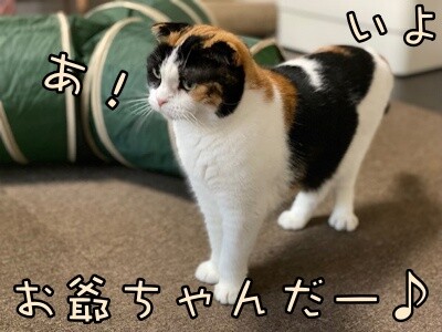 いよ538